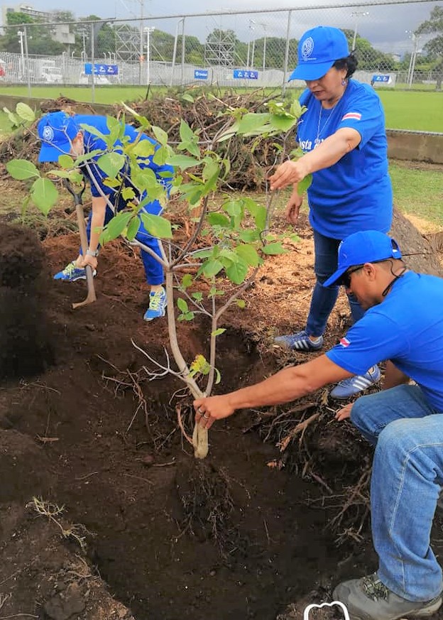 Photo of Bibliotecarios plantando árboles nativos en el Parque Metropolitano La Sabana